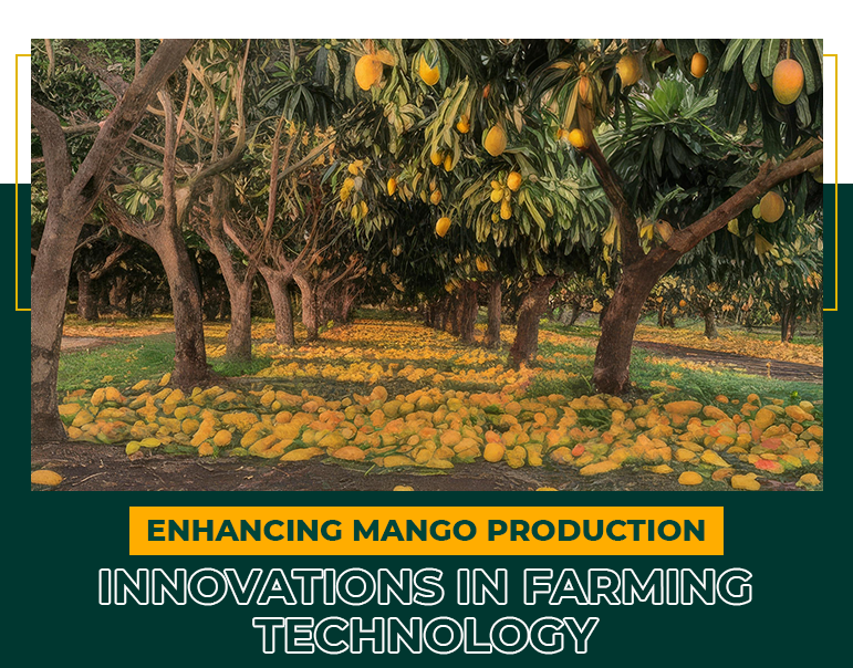 Enhancing Mango Production: Innovations in Farming Technology | Mfarms Blog