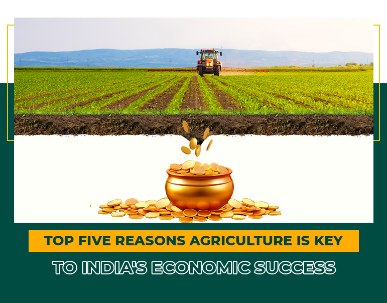 Top Five Reasons Agriculture is Key to India's Economic Success