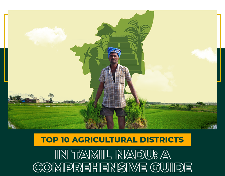 Top 10 Agricultural Districts in Tamil Nadu: A Comprehensive Guide