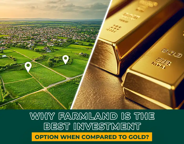 Why Farmland is a Better Investment than Gold: Unlocking Sustainable Wealth | Mfarms Blog