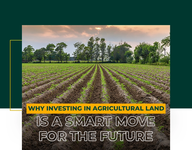 Why Investing in Agricultural Land is a Smart Move for the Future